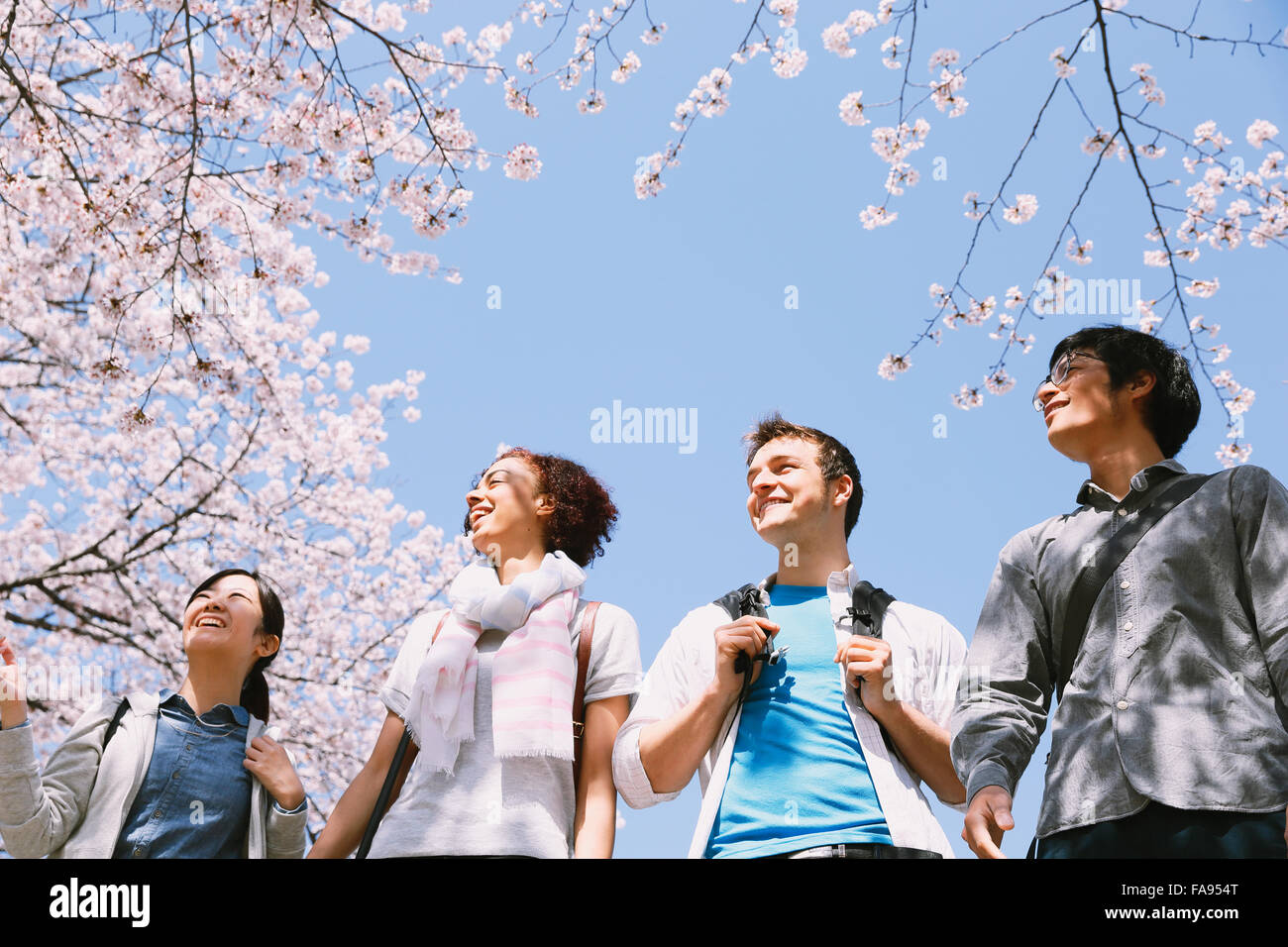 Multi-ethnischen Gruppe von Freunden genießen Kirschblüten blühen in Tokio Stockfoto