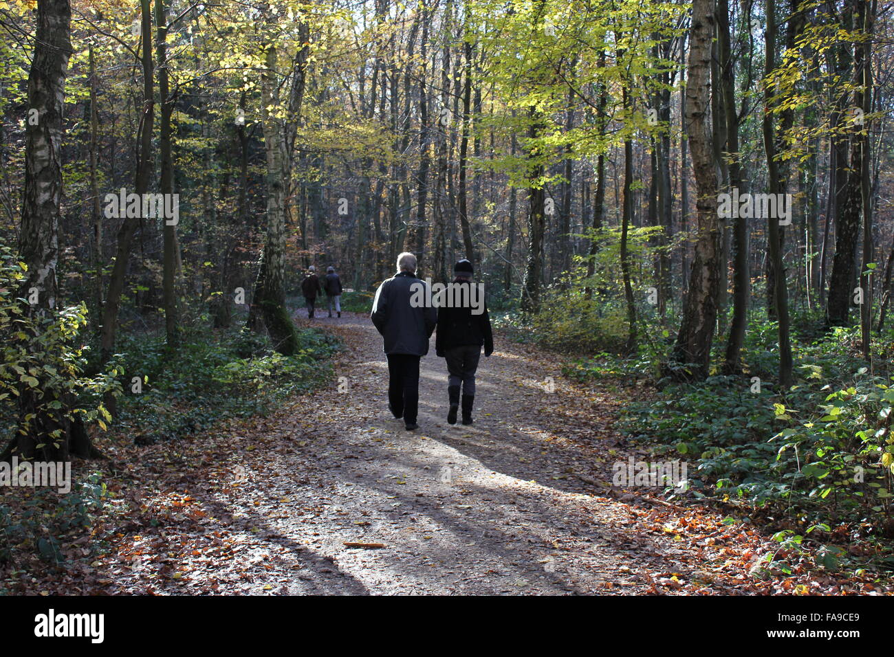 Bonn, Deutschland, Walker im Holz, Bonn-Venusberg Stockfoto