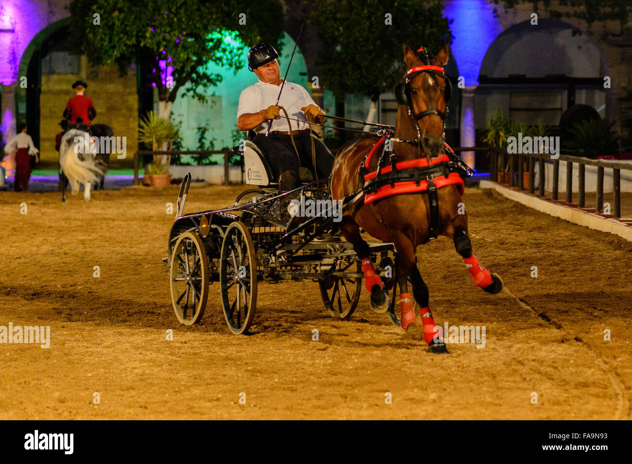 Die Leidenschaft und Geist der andalusischen Pferde-show Stockfoto