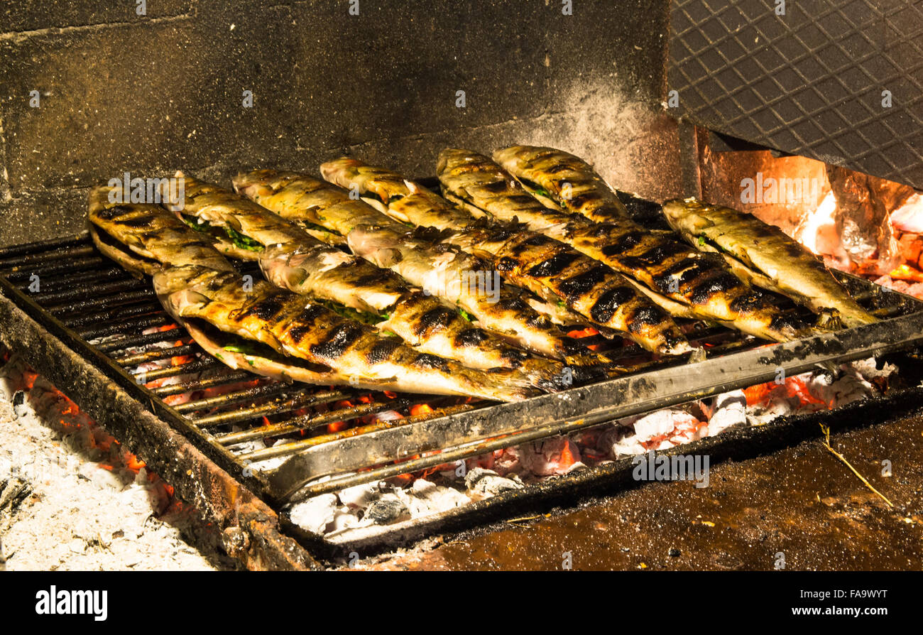 Verschiedene gefüllte Forellen auf Holz Glut gegart. Stockfoto