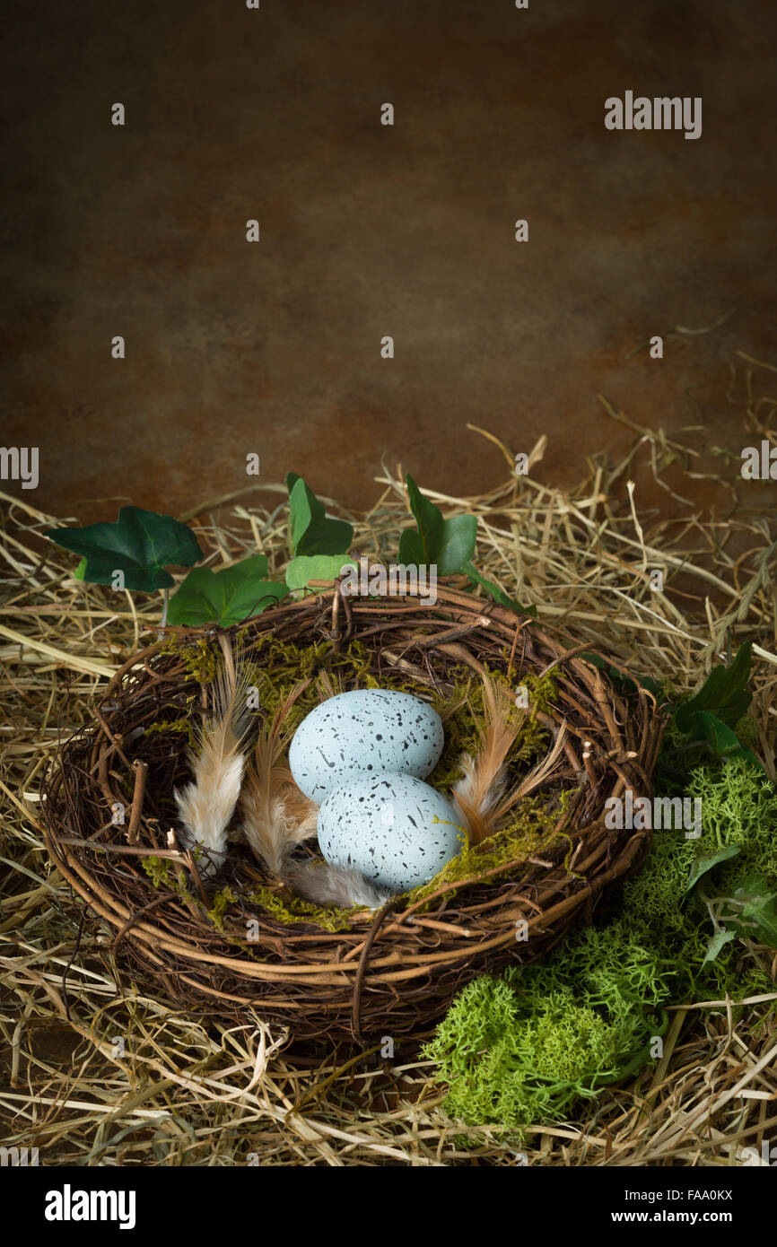 Blau gesprenkelten Eiern liegen in einem Vogelnest Stockfoto