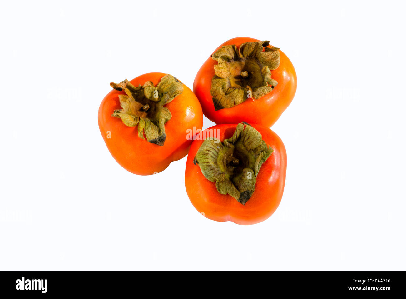 Drei helle orange Frucht Kaki vor weißem Hintergrund fotografiert Stockfoto