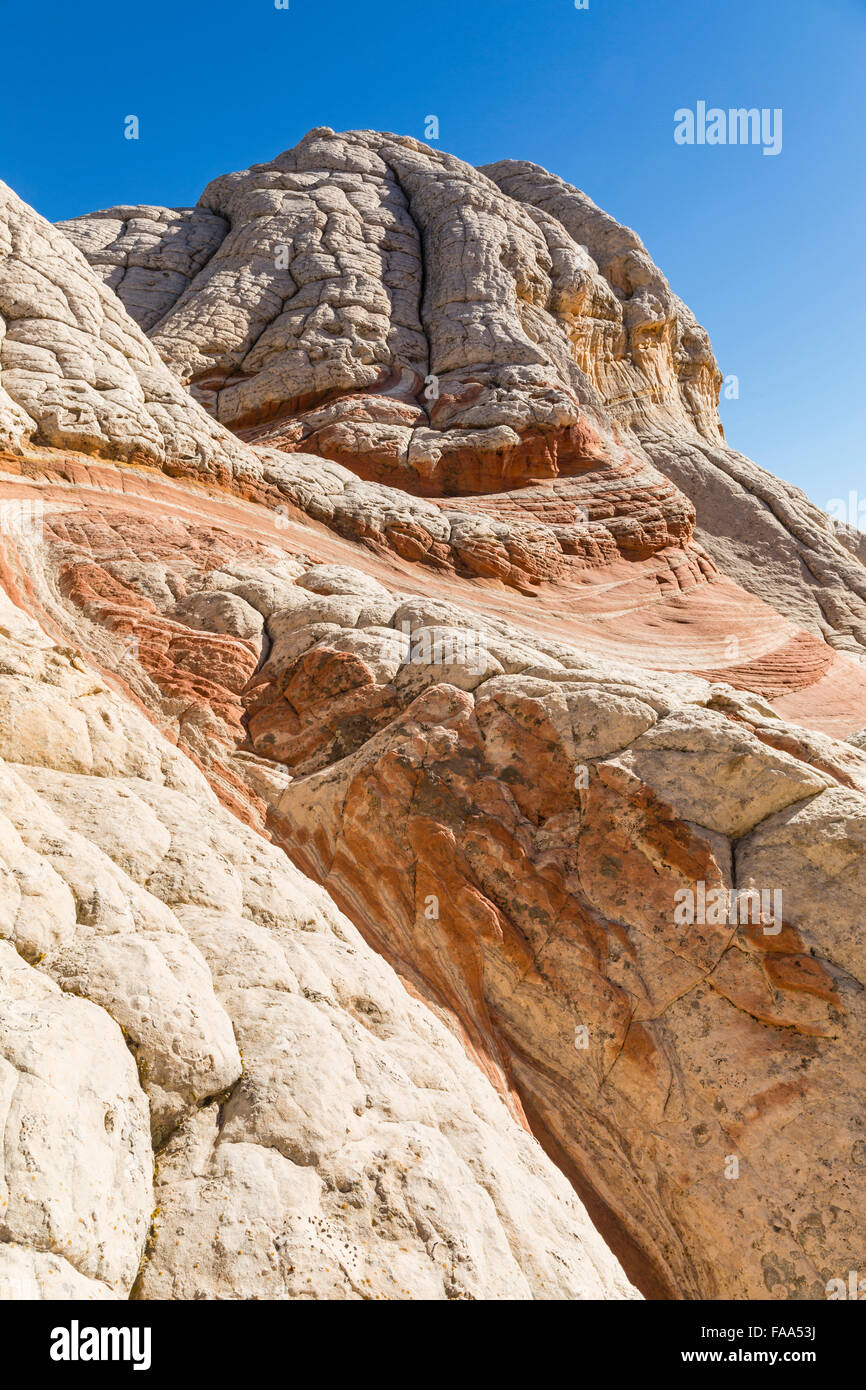 Twisty und geschwungene Felsen in den einzigartigen und remote White Pocket Felsformationen in Vermillion Cliffs National Monument in Arizona Stockfoto