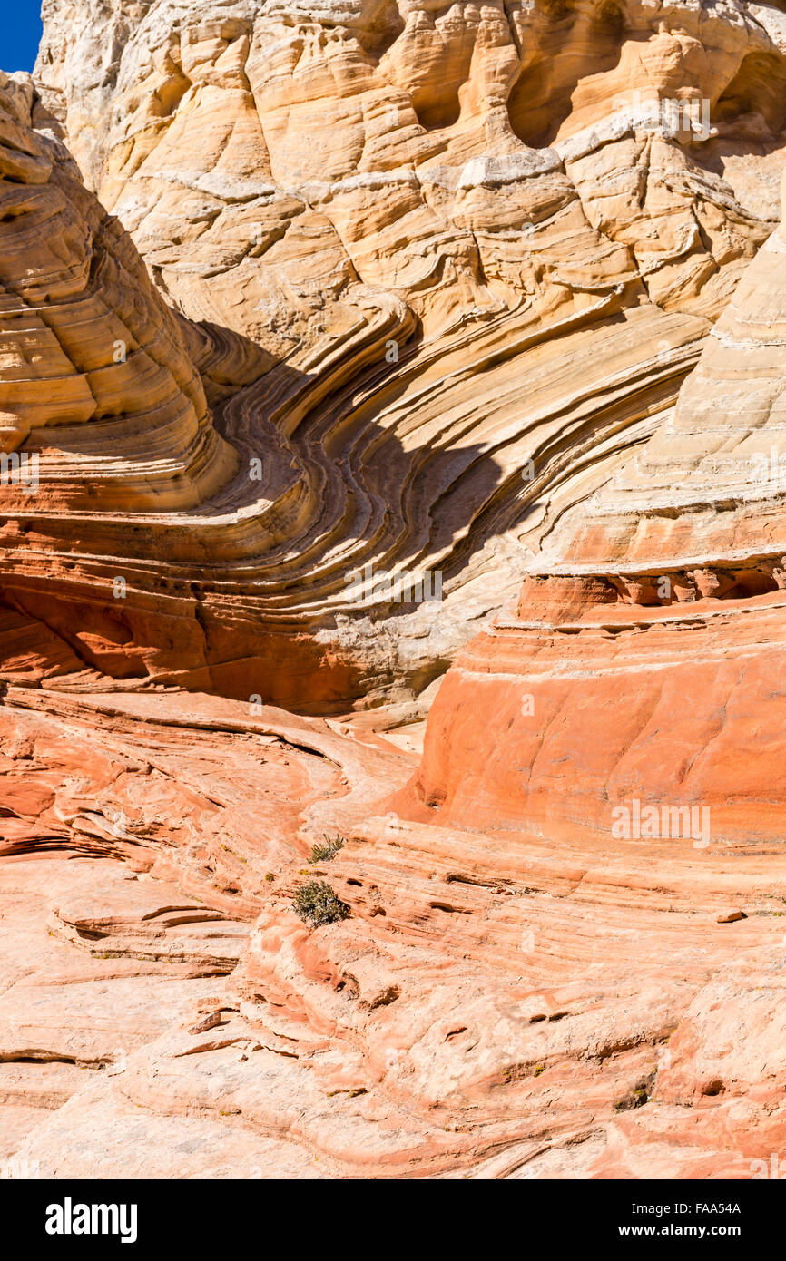 Twisty und geschwungene Felsen in den einzigartigen und remote White Pocket Felsformationen in Vermillion Cliffs National Monument in Arizona Stockfoto