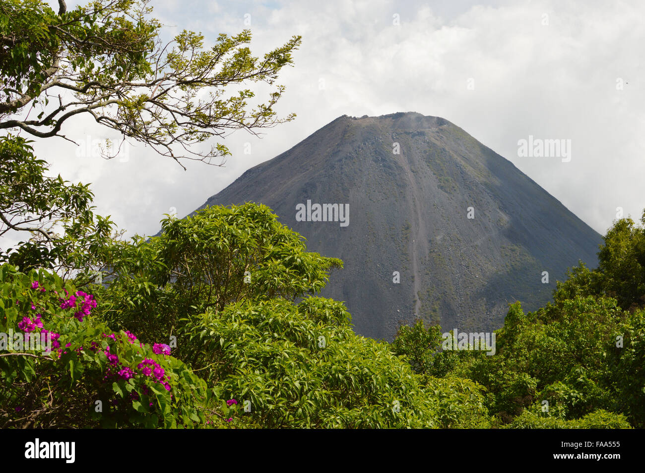 Der perfekte Höhepunkt der aktiv und jung Izalco Vulkans im Nationalpark Cerro Verde, El Salvador Stockfoto