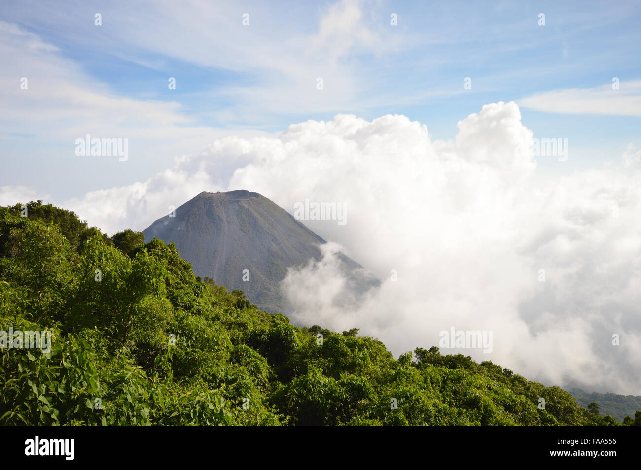 Der perfekte Höhepunkt der aktiv und jung Izalco Vulkans im Nationalpark Cerro Verde, El Salvador Stockfoto