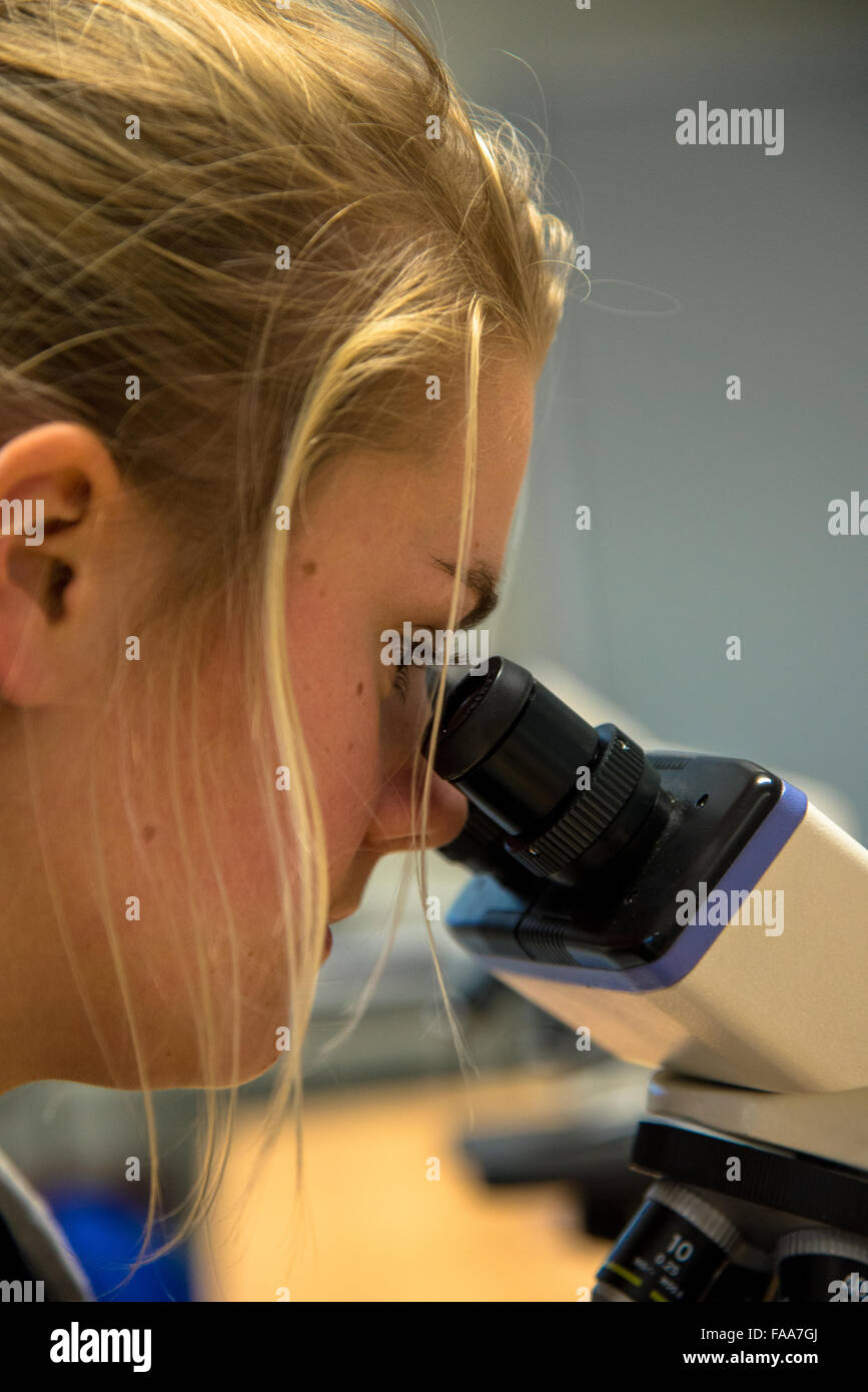Student auf der Suche durch Mikroskop Stockfoto