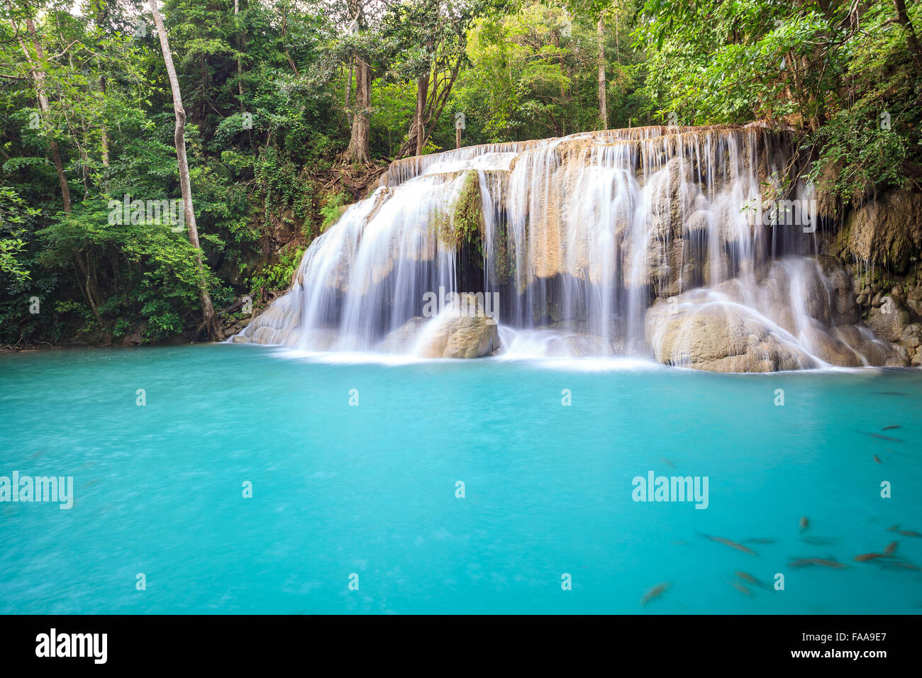 Tropischer Wasserfall im tiefen Wald Stockfoto