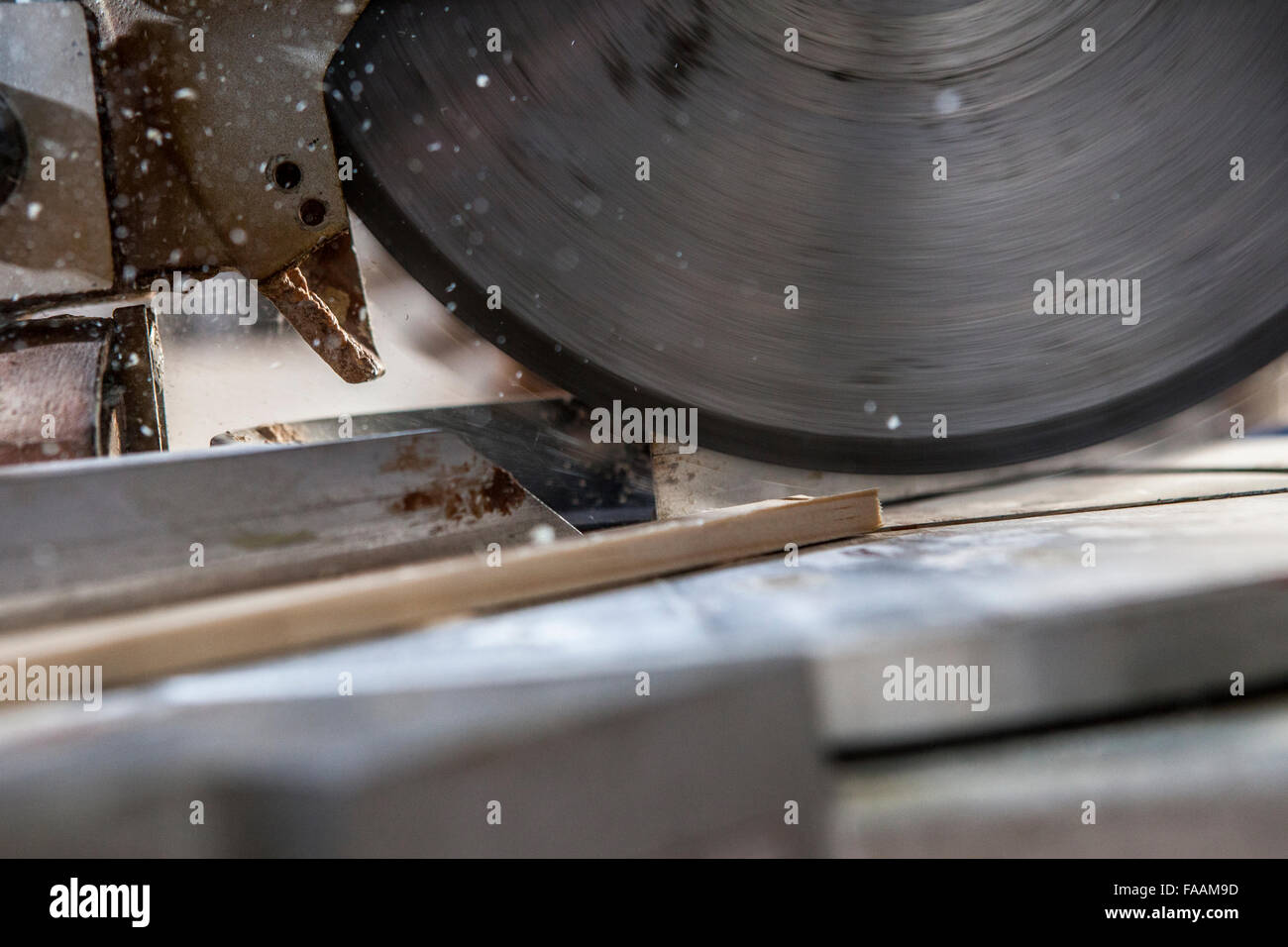 Tischler elektrische Kreissäge. Closeup Aufnahme der Klinge Schneiden von Holz mit Sägemehl in der Luft Stockfoto