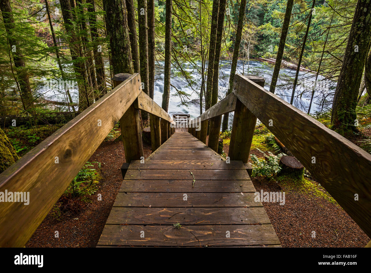 Lower Lewis River Falls im US-Bundesstaat Washington. Stockfoto