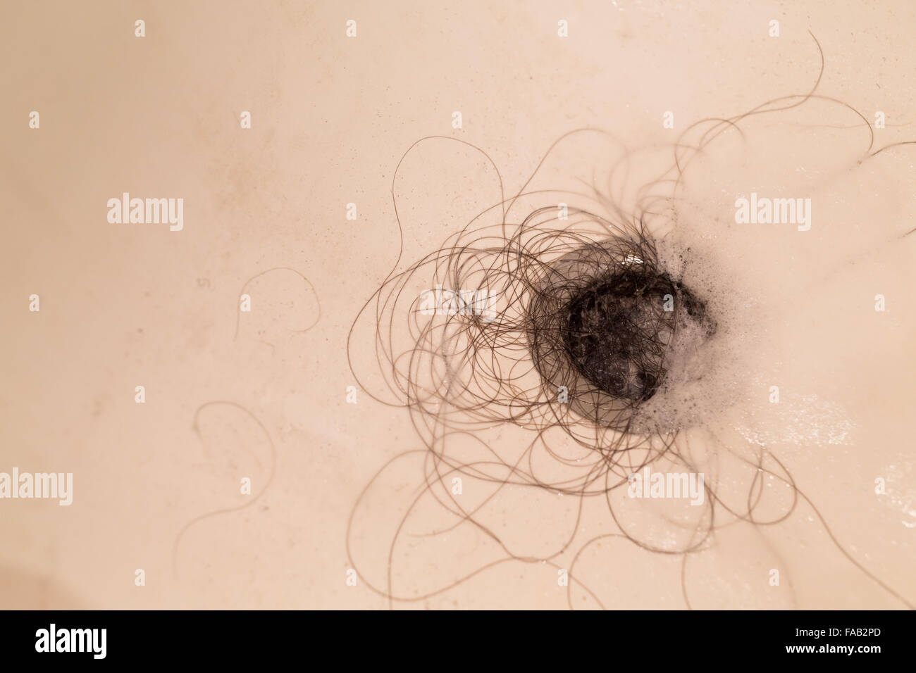 Lange Haare in der Wanne Nahaufnahme Foto. Stockfoto