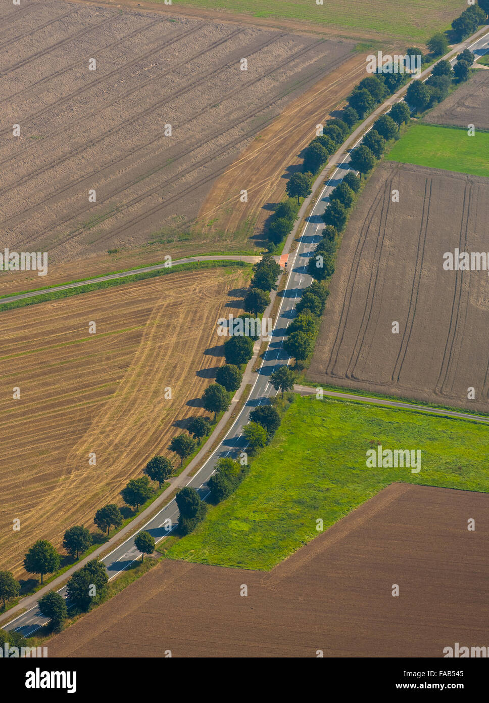 Luftaufnahme, Launcher Str, Avenue zwischen Feldern, Bünde, Ostwestfalen, Nordrhein-Westfalen, Deutschland, Europa, Luftbild, Stockfoto