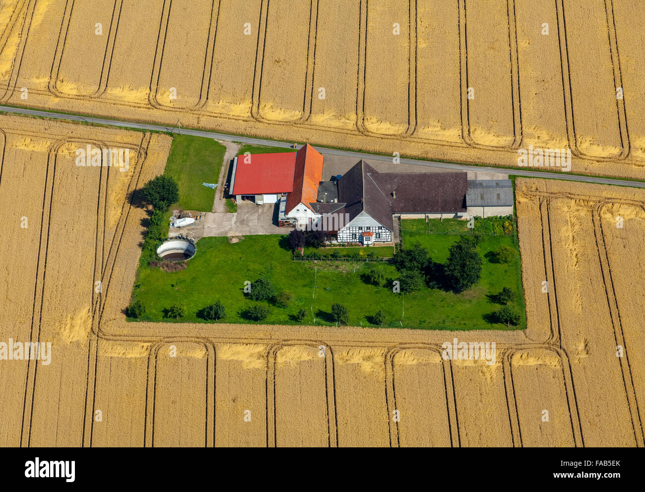 Luftbild, Gehöft, Bauernhof mitten in einem Maisfeld mit Rüschen, Rödinghausen, Ost-Westfalen, Nordrhein-Westfalen, Stockfoto