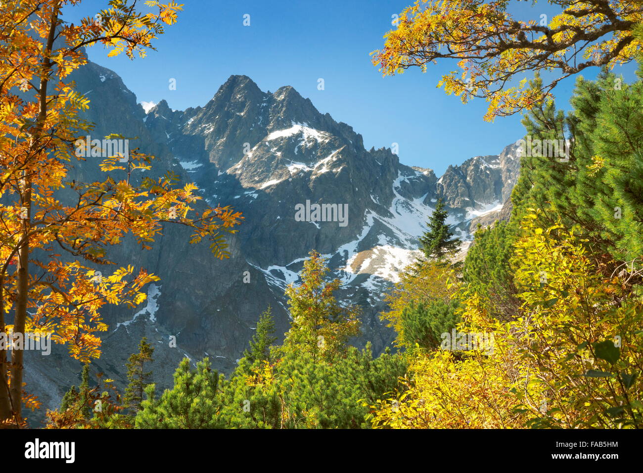 Herbst in Kiezmarska Tal, Tatra, Slowakei Stockfoto