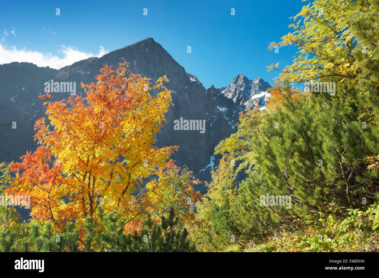 Herbst im Kiezmarska Tal, Tatra Gebirge, Slowakei Stockfoto