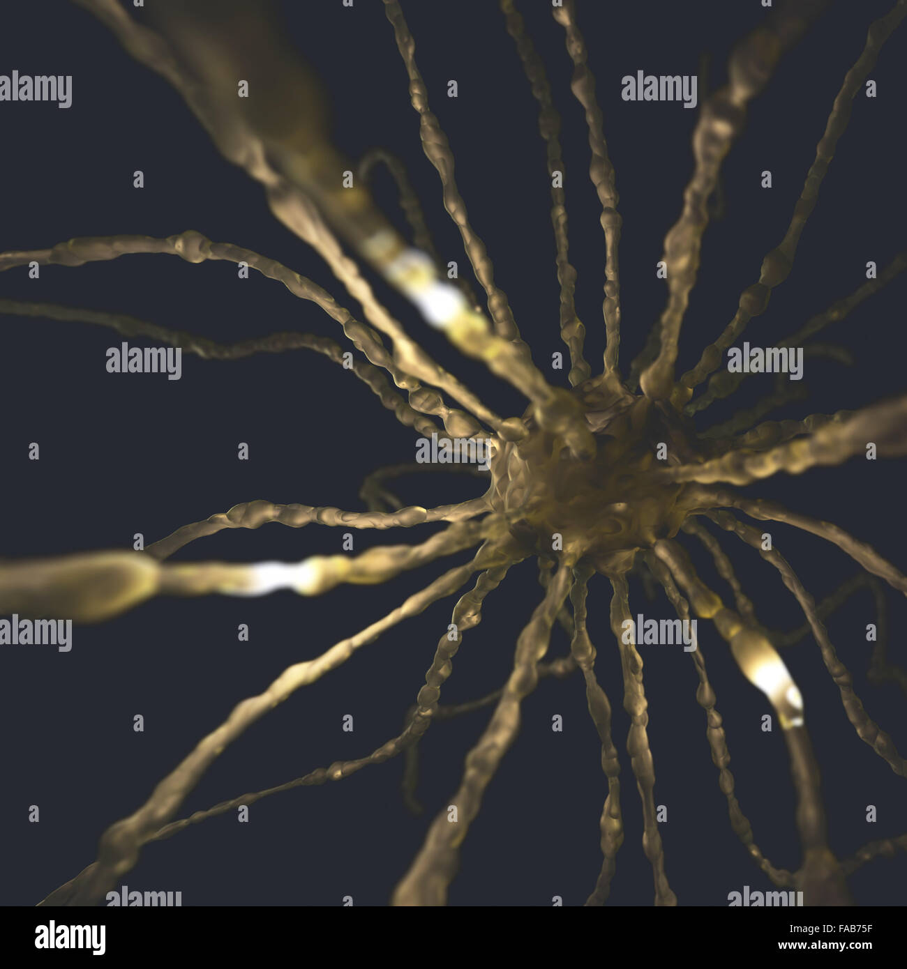 Bild-Konzept von Neuronen in einem komplexen Gehirn-Netzwerk miteinander verbunden. Stockfoto