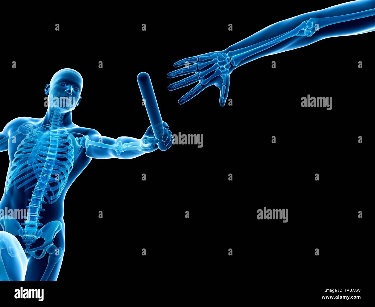 Skelett-Systems ein Staffellauf Läufer, Computer Bild. Stockfoto