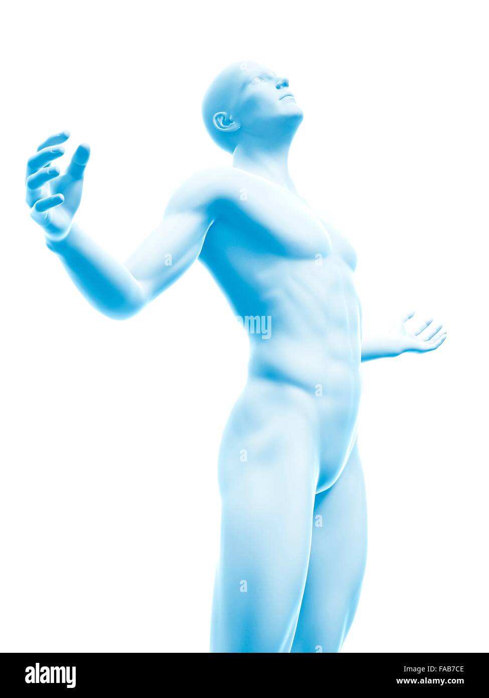 Menschliche Anatomie, Computer Bild. Stockfoto