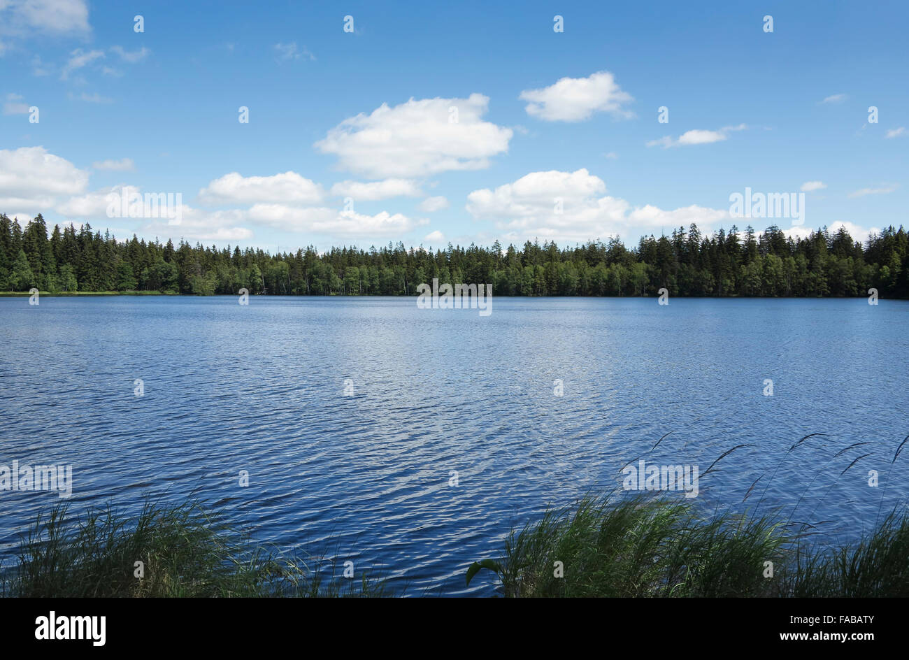 Teich in die natürliche Erhaltung Kladska Torf - nationalen Naturreservat in Slavkov Woods Stockfoto