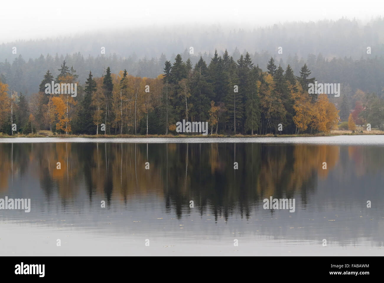 Herbstliche Bäume am Ufer Sees - reservieren Sie Kladska Torf in der nationalen Natur in Slavkov Fores Stockfoto