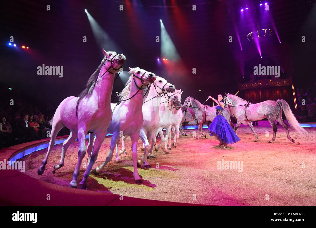 München, Deutschland. 25. Dezember 2015. Die tamer Jana Mandana-Krone führt mit ihren weißen Ponys während der Premiere von der Winter-Programm des Circus Krone in München, Deutschland, 25. Dezember 2015. Foto: TOBIAS HASE/DPA/Alamy Live-Nachrichten Stockfoto