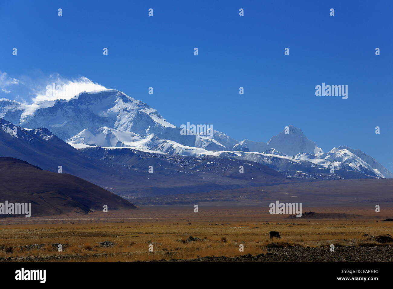 Blick auf die hohen Himalaya-Mahalangur Himal-Abschnitt. L.toR.= Ngozumpa Kang ich 7916 Frau + Frau Cho Oyu 8201 + Phasang Lhamu Chuli.Tibet Stockfoto
