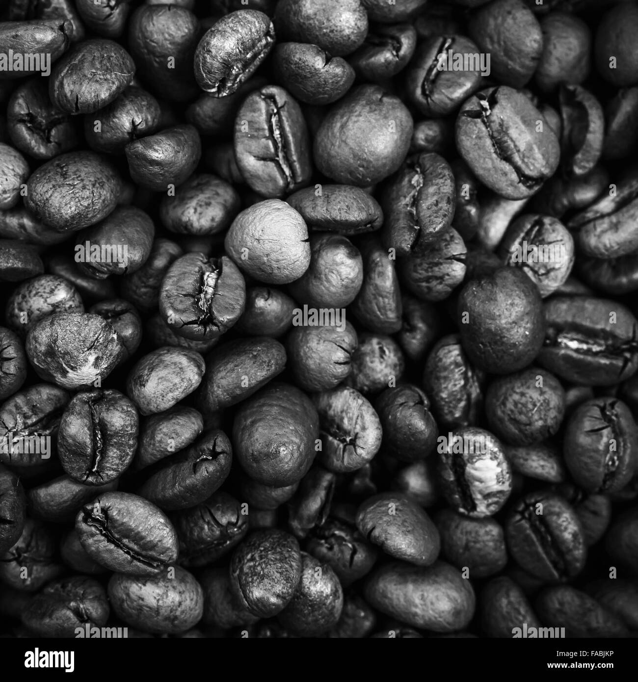 Closeup Monochrom quadratisch Foto von gerösteten Kaffeebohnen Stockfoto