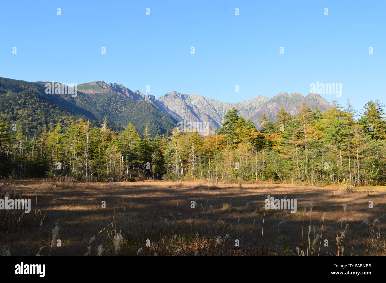 Kamikochi, wunderschöne Natur in Japan Stockfoto