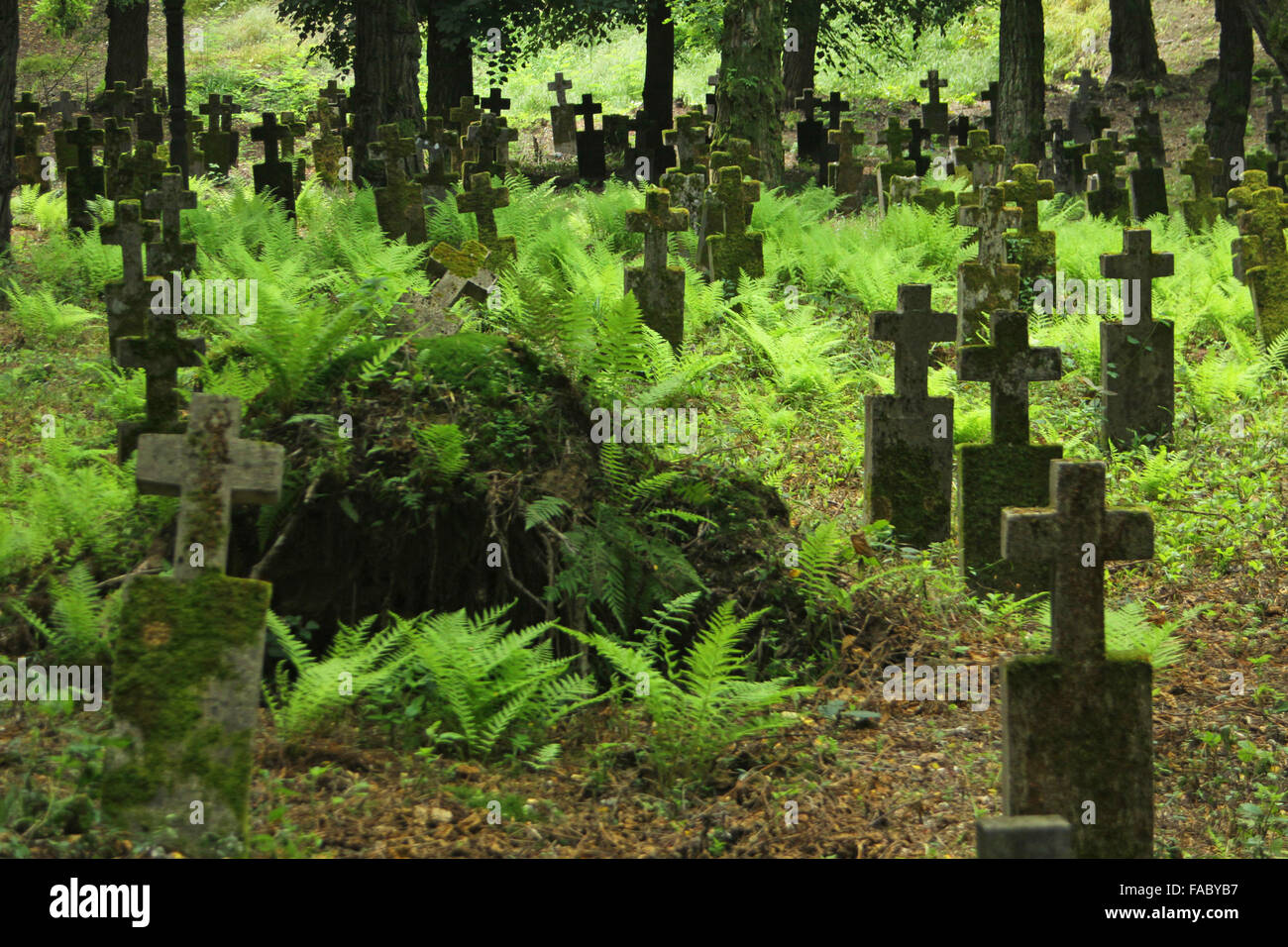 Details zu einem alten 19. Jahrhundert Friedhof mit vielen Bäumen in Chust, Transkarpatien, Ukraine Stockfoto