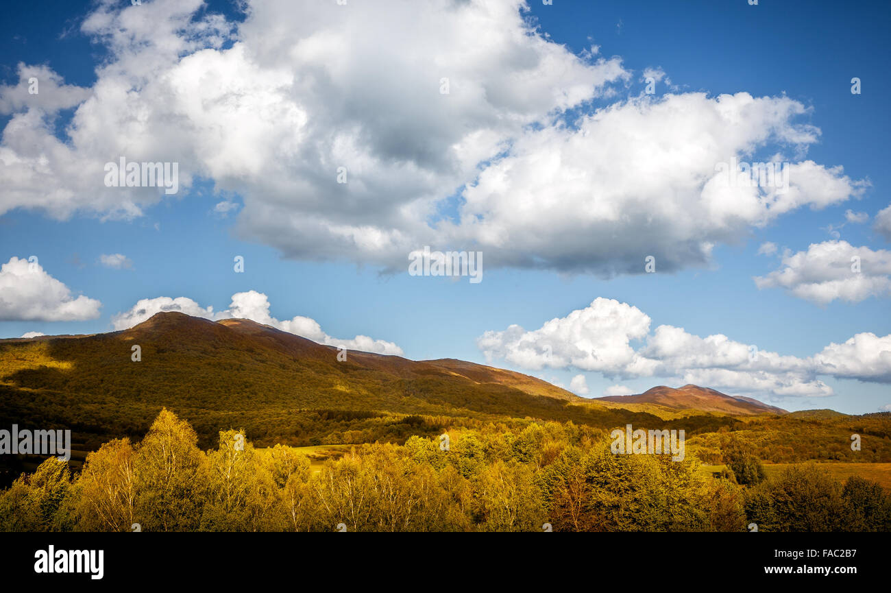 Landschaft von Bergen und Wäldern im Vordergrund Stockfoto