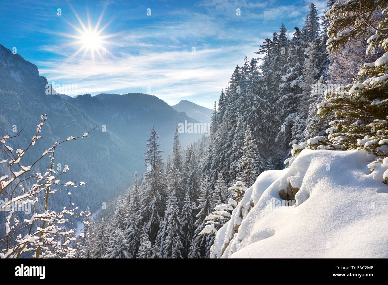 Winter Schnee Landschaft, Tatra-Gebirge, Polen Stockfoto