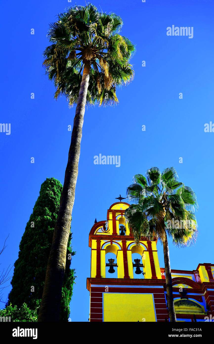 Malaga Spanien Kirchenglocken und Palmen Bäume blauen Himmel Stockfoto