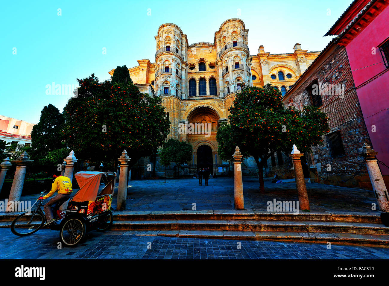 Kathedrale von Malaga Spanien und Orangenbäumen und Rikscha Stockfoto