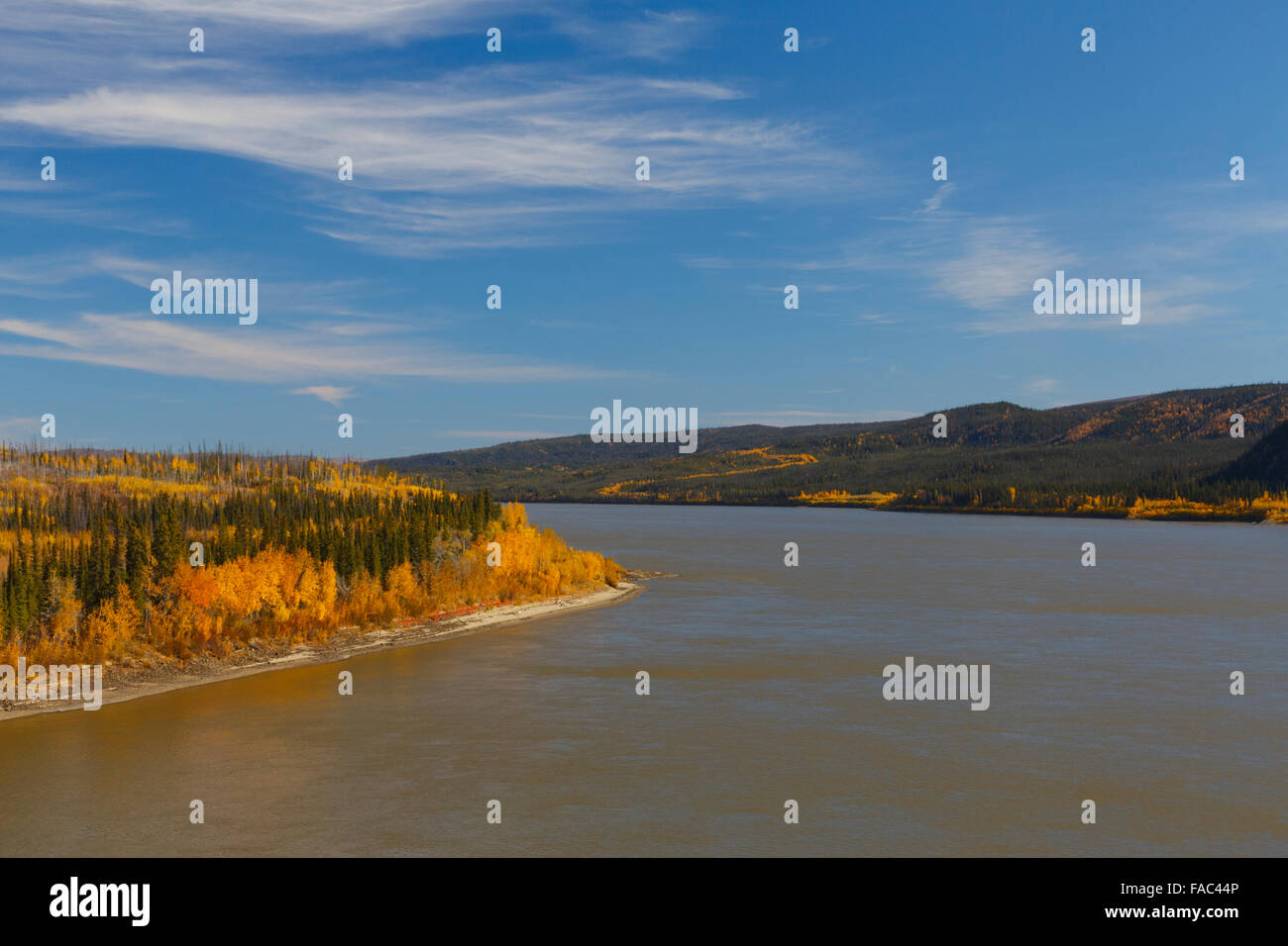 Herbst auf dem Yukon River von der Dalton Highway-Brücke, Alaska. Stockfoto