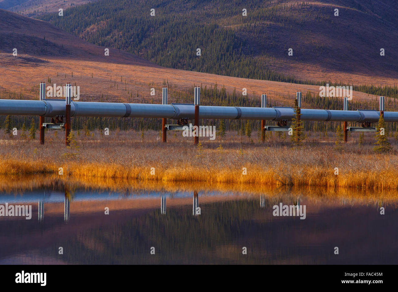 Alyeska Pipeline aus dem Dalton Highway, Alaska. Stockfoto