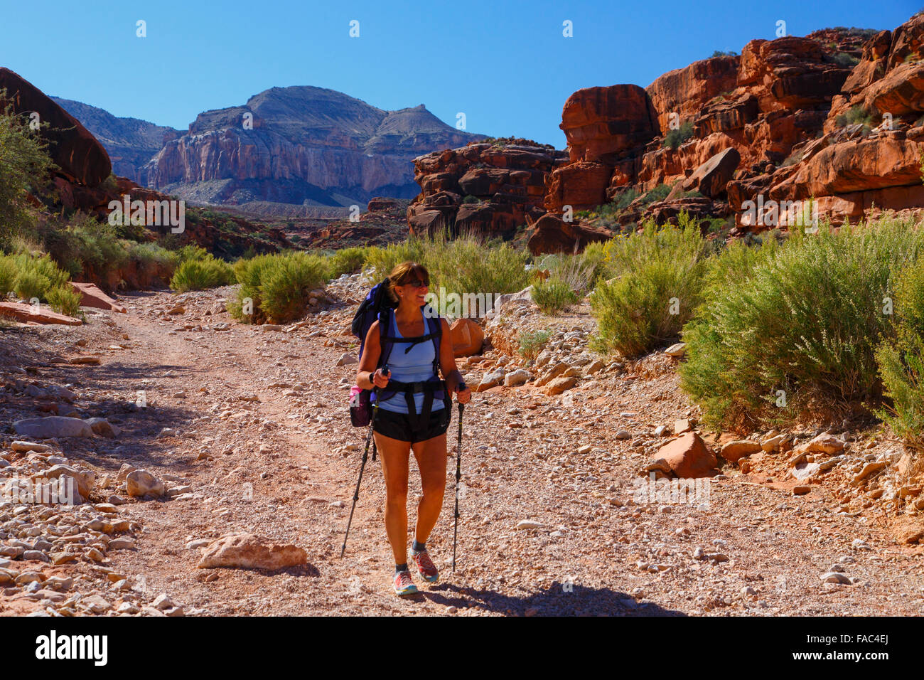 Wandern nach Havasu Fälle, Havasupai Indian Reservation, Grand Canyon, Arizona. Stockfoto