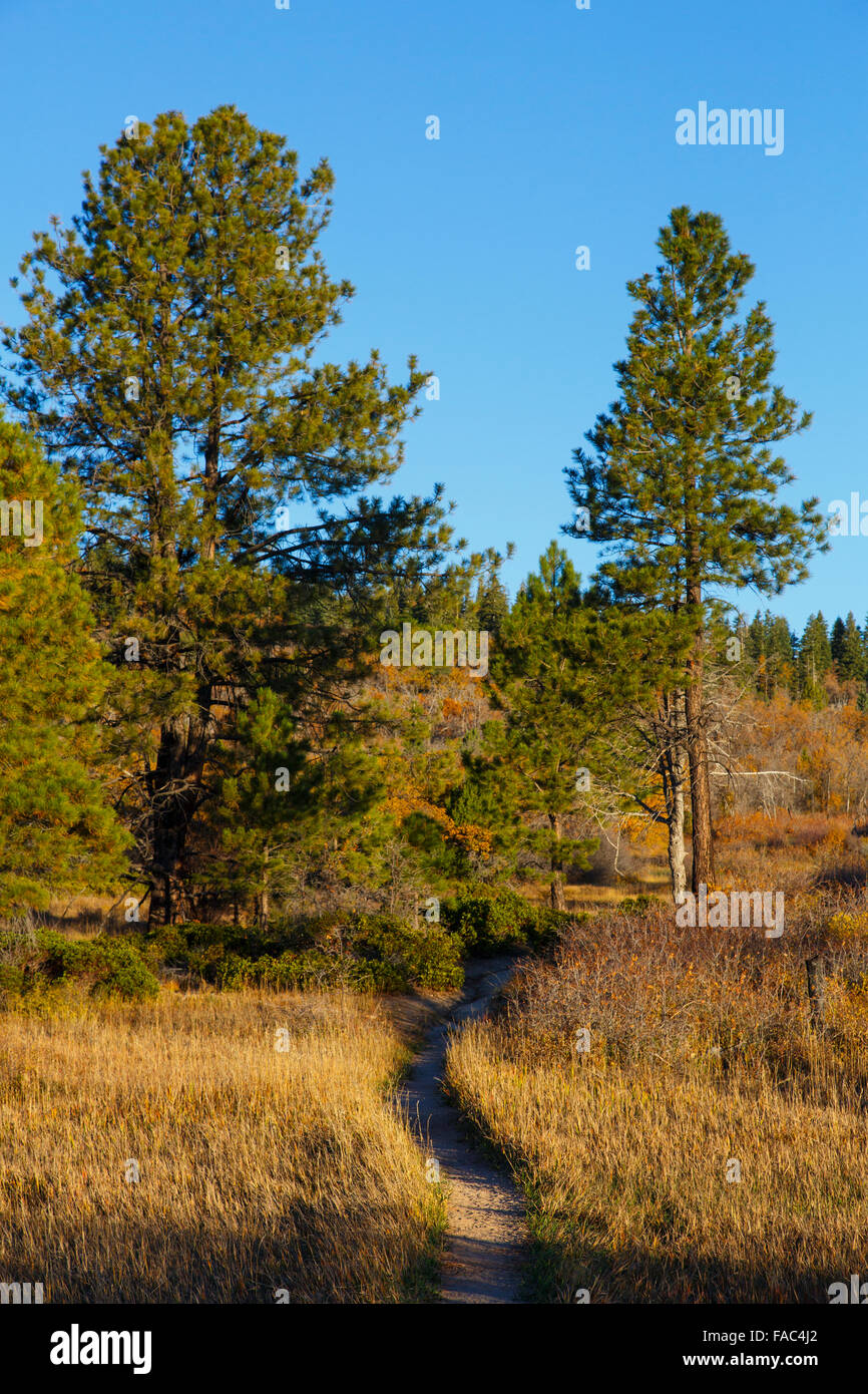 Von der West Rim Trail, Zion Nationalpark, Utah. Stockfoto