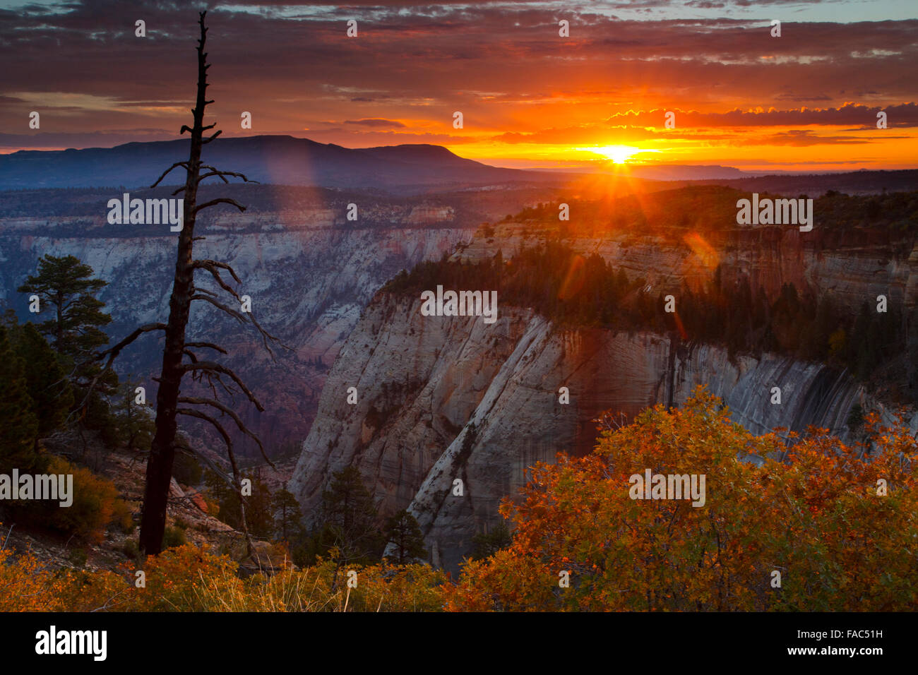 Von der West Rim Trail, Zion Nationalpark, Utah. Stockfoto