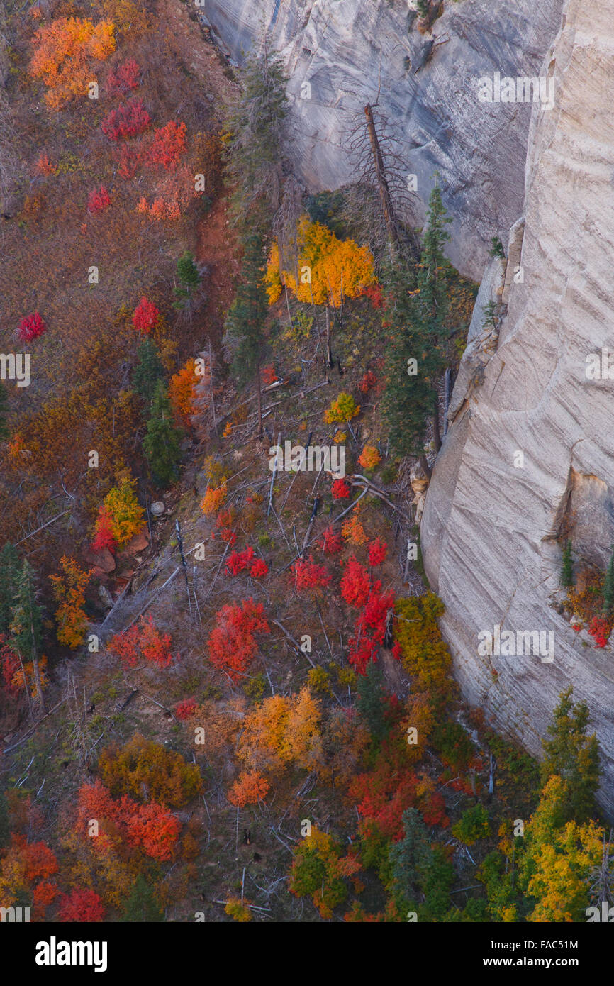 Von der West Rim Trail, Zion Nationalpark, Utah. Stockfoto