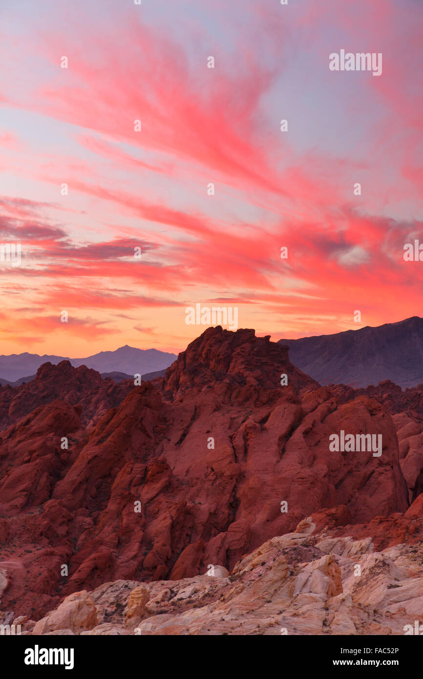 Valley of Fire State Park in der Nähe von Las Vegas, Nevada. Stockfoto