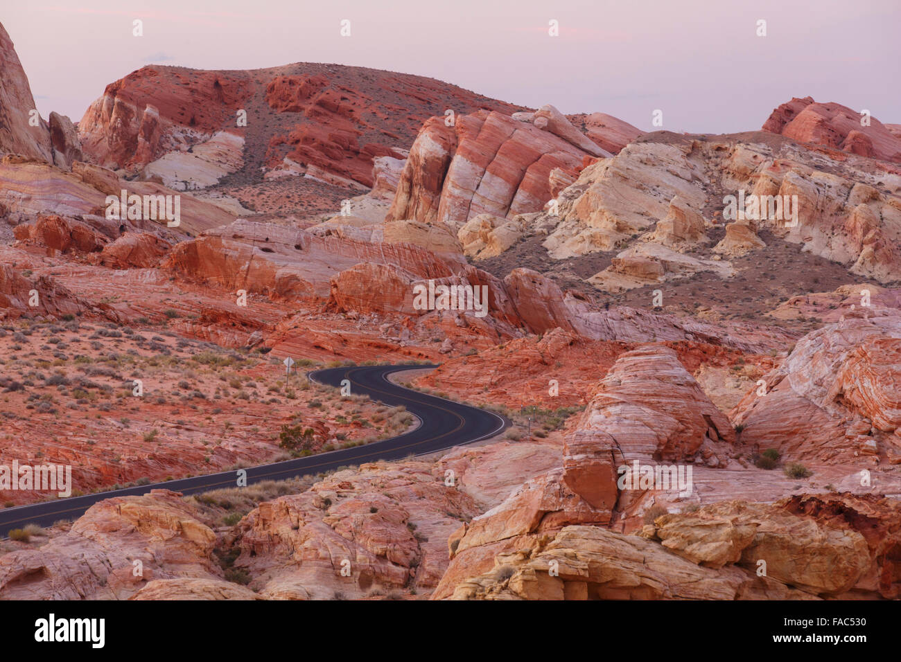 Straße durch Valley of Fire State Park, in der Nähe von Las Vegas, Nevada. Stockfoto