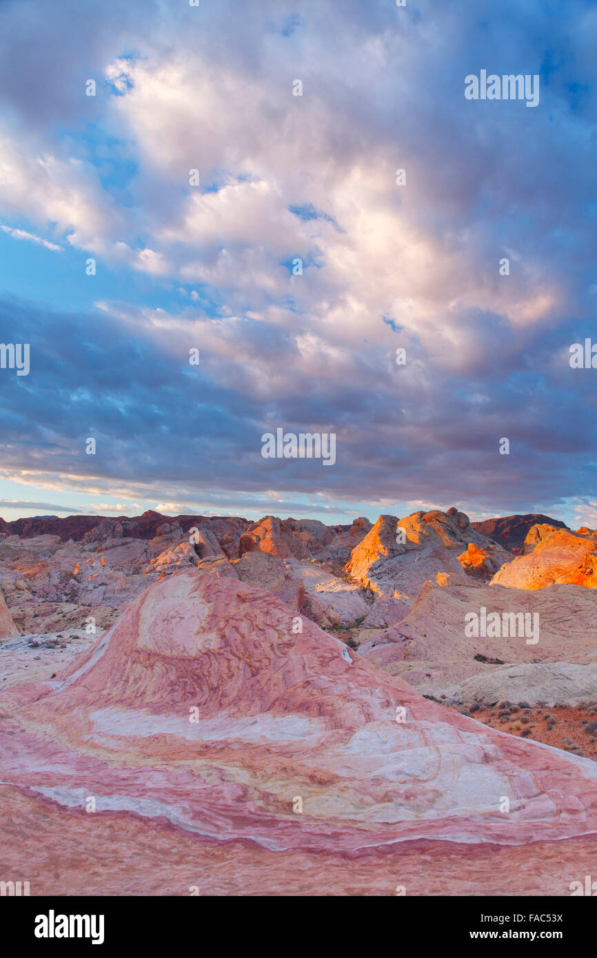 Valley of Fire State Park in der Nähe von Las Vegas, Nevada. Stockfoto