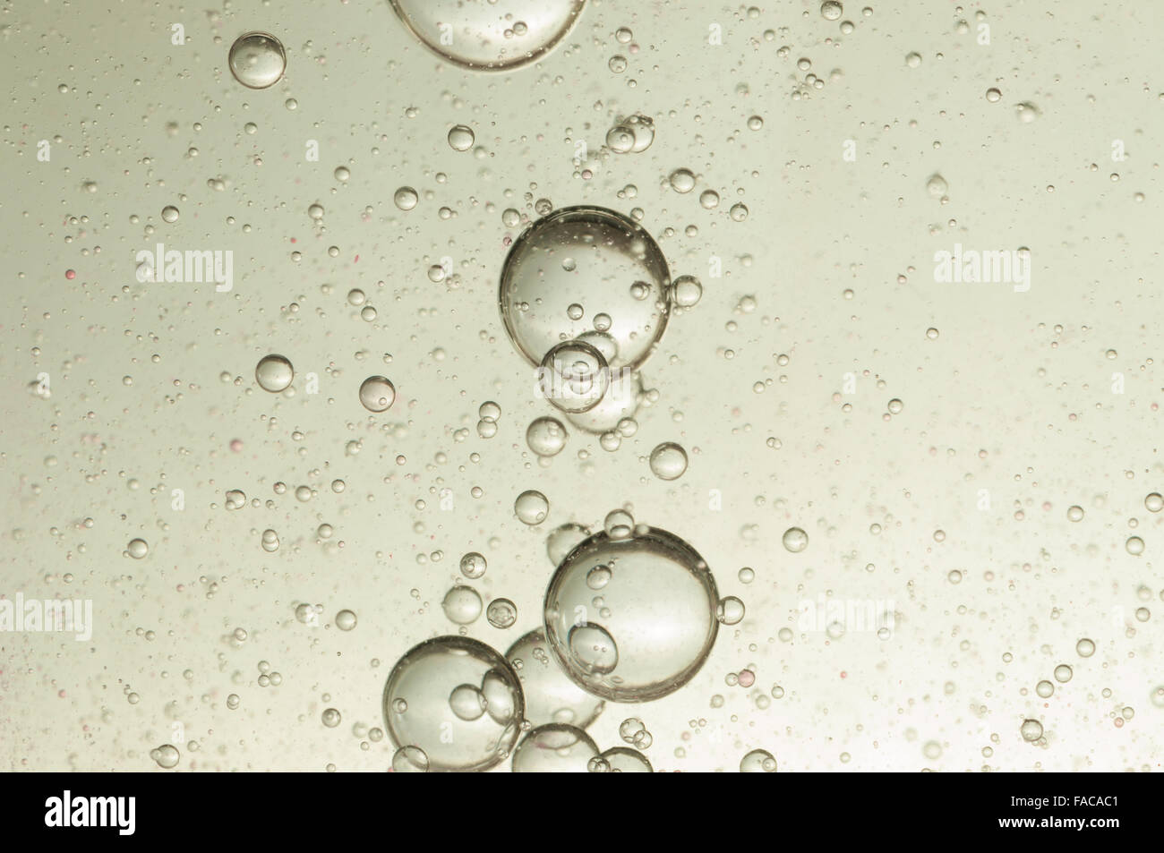 Champagner in einem großen Cystral Glas aufsteigende Luftblasen Stockfoto