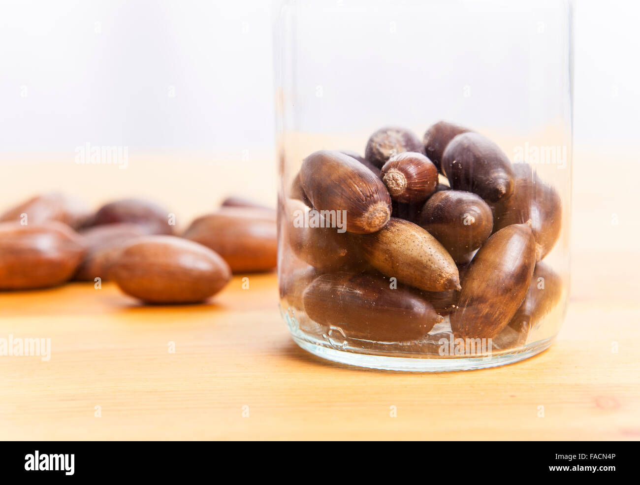 Eicheln auf Glas jar über Holzoberfläche. Isoliert auf weißem Hintergrund Stockfoto