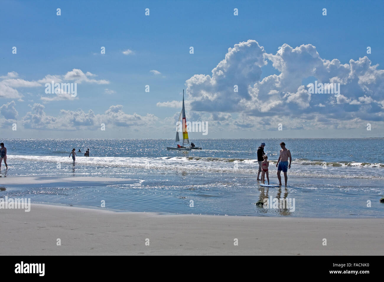 Insel Ameland, Niederlande, Dünen. Stockfoto