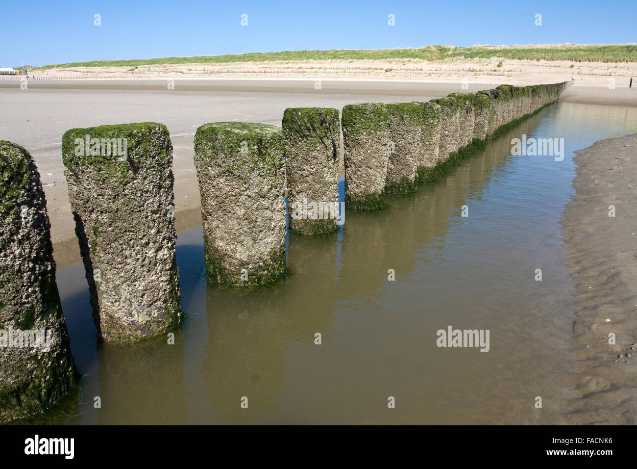 Insel Ameland, Niederlande, Dünen. Stockfoto