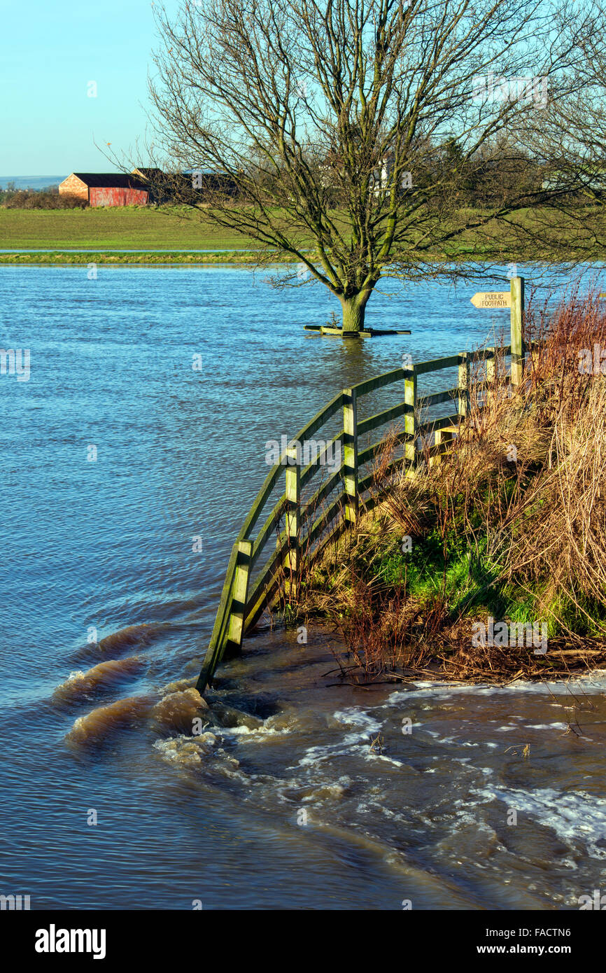 Ackerland in North Yorkshire im Nordosten von England überflutet. Stockfoto