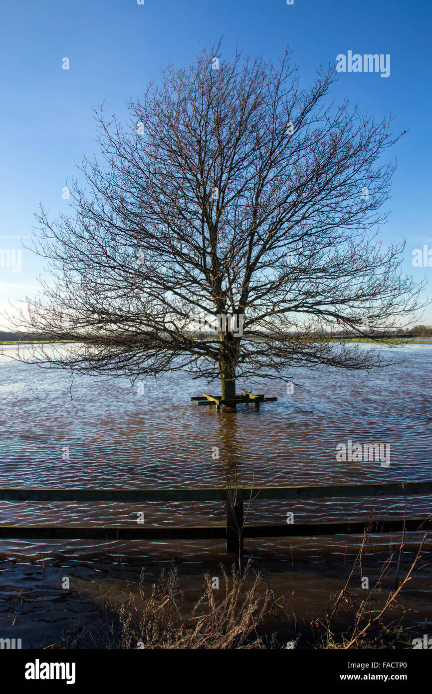 Ackerland in North Yorkshire im Nordosten von England überflutet. Stockfoto