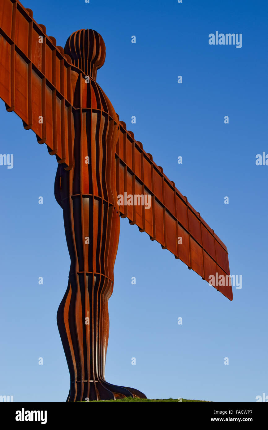 Der Engel des Nordens, entworfen von Antony Gormley, in niedrig fiel, Gateshead. Stockfoto