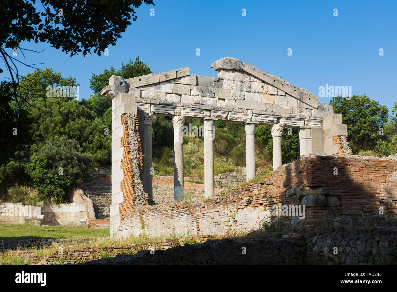 Apollonia, oder Apoloni, Fier Region, Albanien.  Antike griechische Stadt im 6. Jahrhundert v. Chr. gegründet.  Bouleuterion. Stockfoto